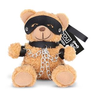 BDSM Teddy