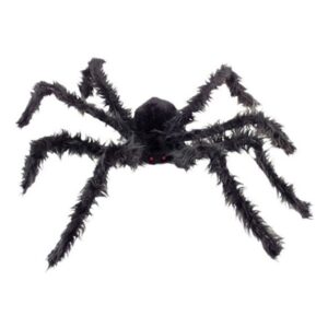 Jättespindel med Lysande Ögon