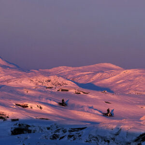 Sveriges Bästa: Gastronomiskt Vildmarksäventyr
