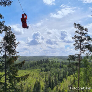 Zipline